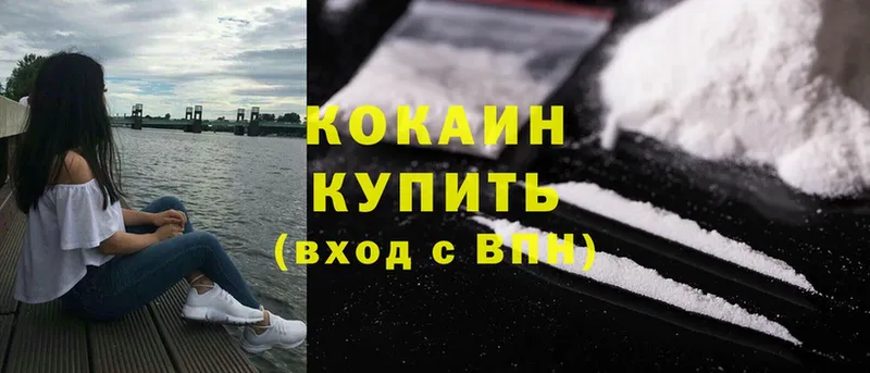 дарнет шоп  Павловский Посад  Cocaine Fish Scale 